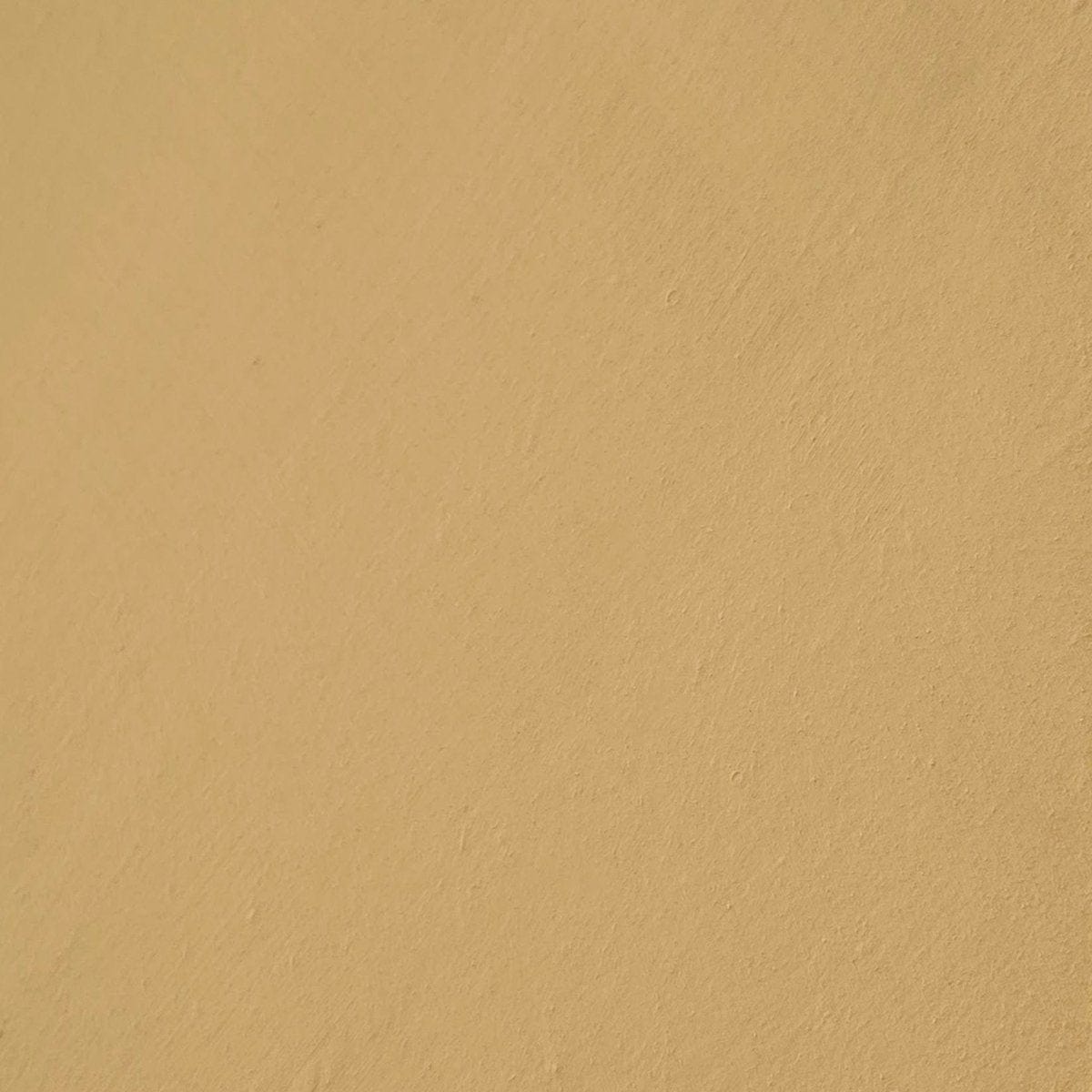 Ventiquattro -Yellow Limewash Wall Paint