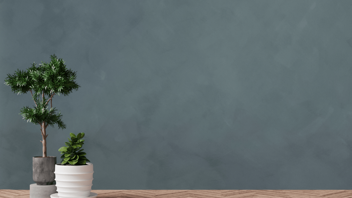 Viridiano - Emerald Green Limewash Wall Paint