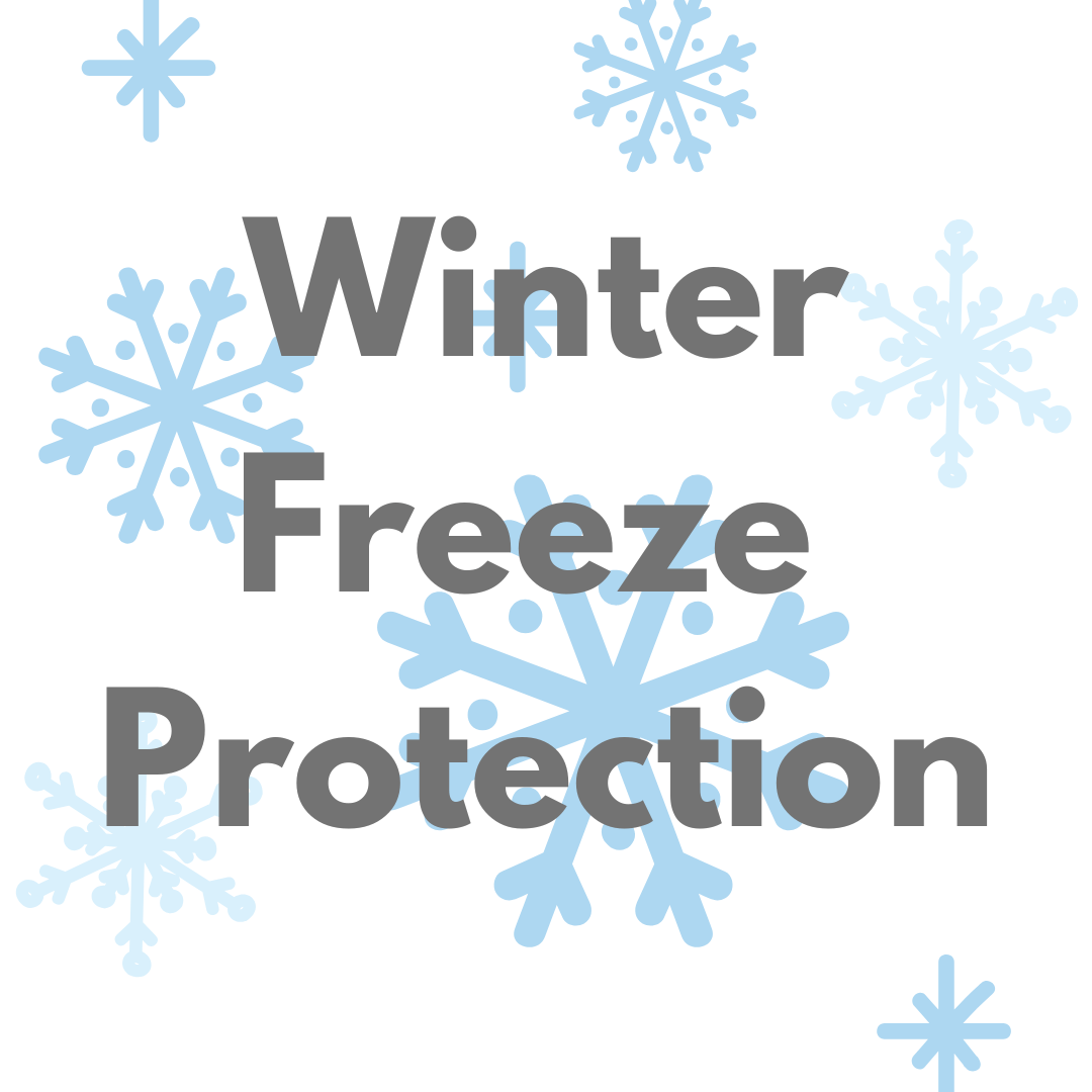 Shipping: Freeze Protection – Limewash Paint - James Alexander Paints