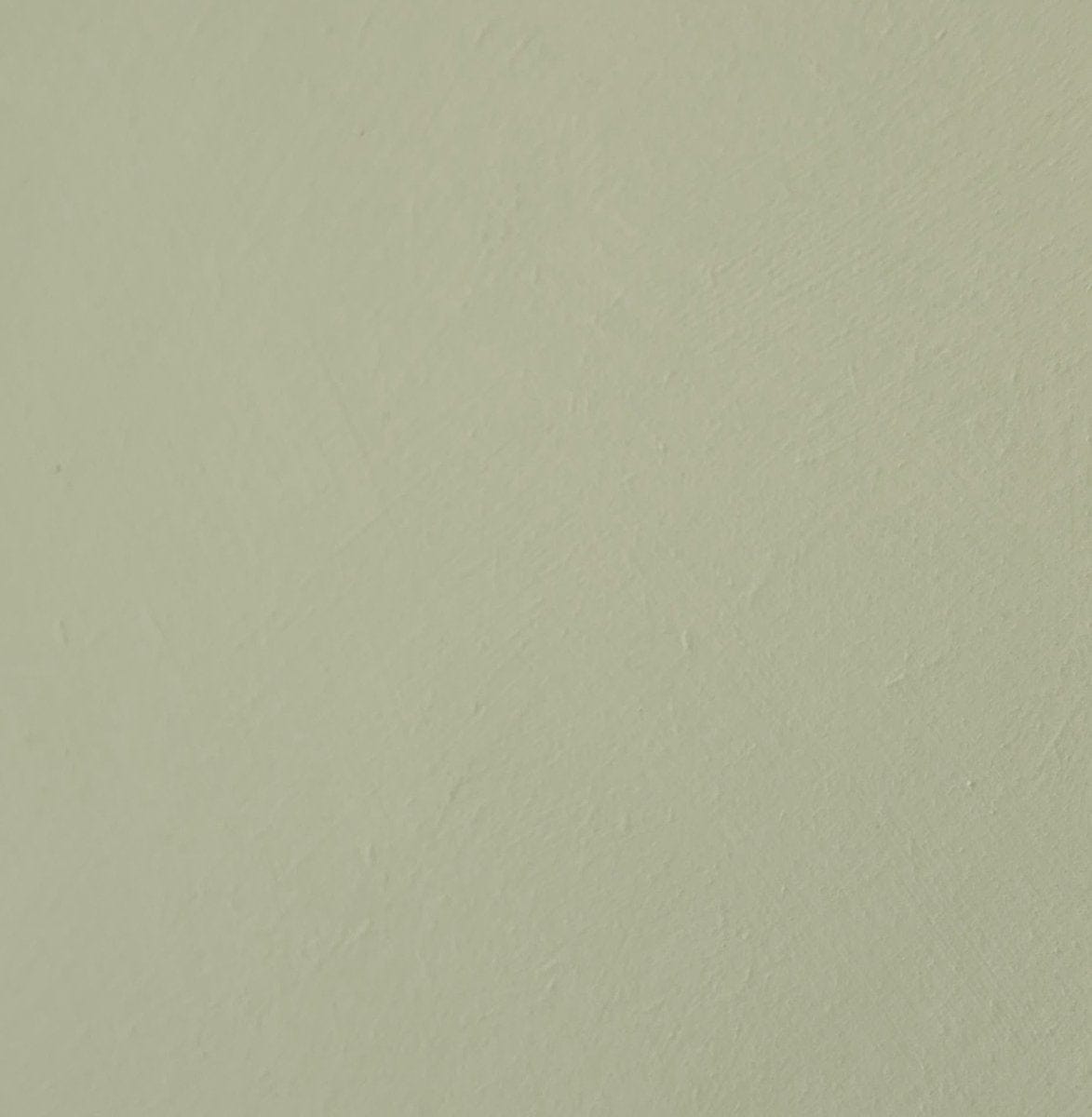 Melata - Green Limewash Wall Paint