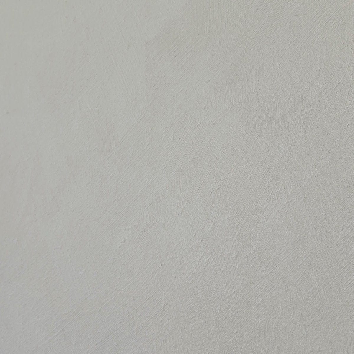 Muschio - Warm Gray-Green Limewash Wall Paint