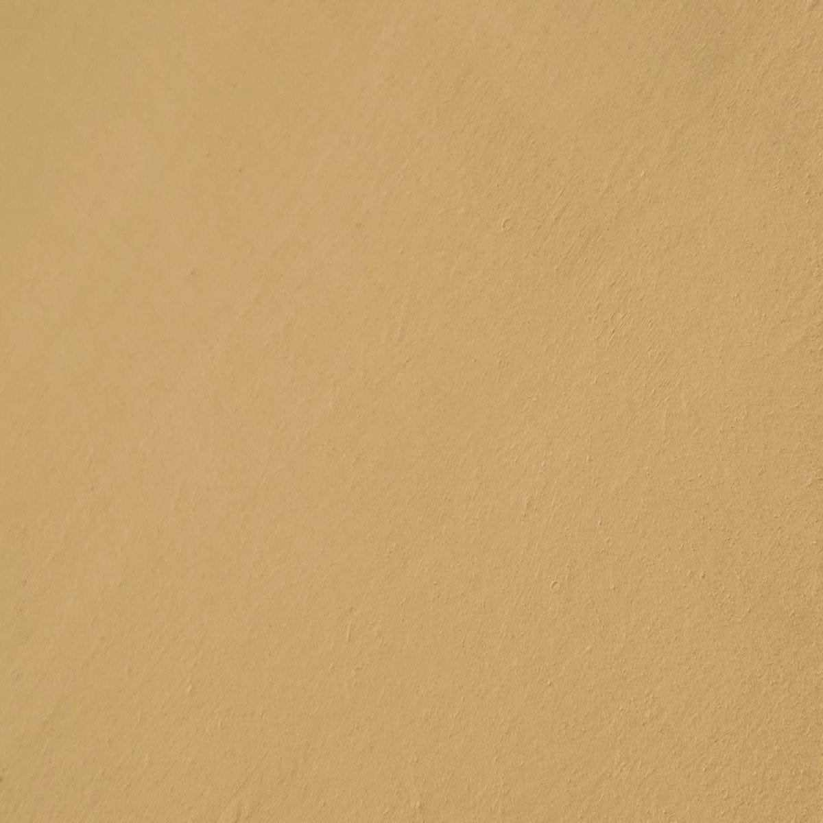 Ventiquattro -Yellow Limewash Wall Paint