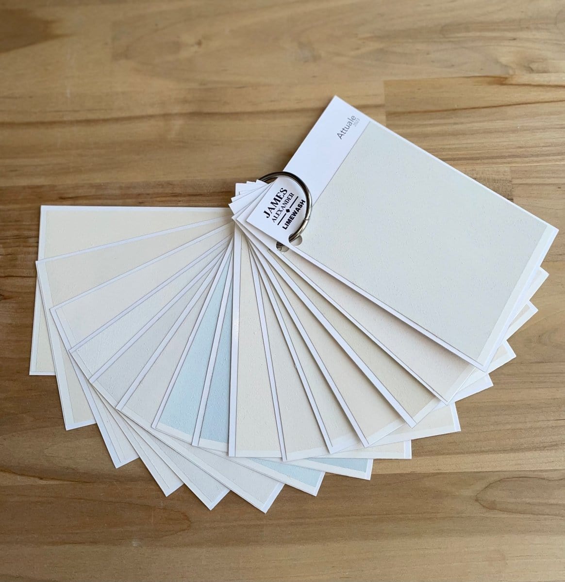 Light and Airy Collection Designer Color Deck Limewash Paint James