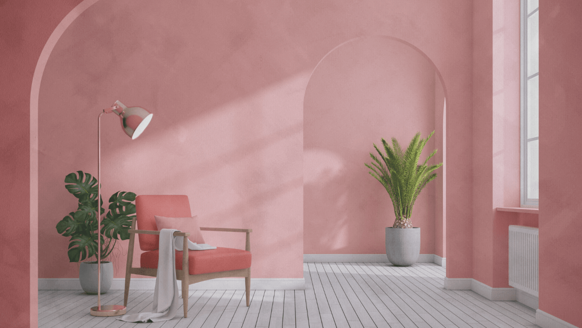 Pink Limewash Room Orchidea color